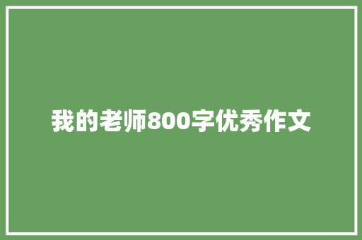 我的老师800字优秀作文 论文范文