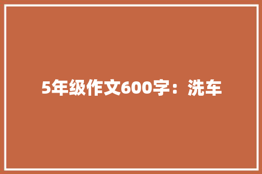 5年级作文600字：洗车