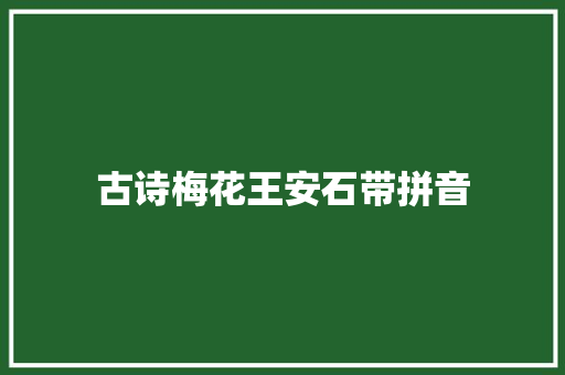 古诗梅花王安石带拼音