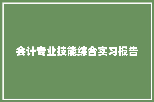 会计专业技能综合实习报告