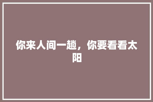 你来人间一趟，你要看看太阳 论文范文