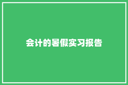 会计的暑假实习报告