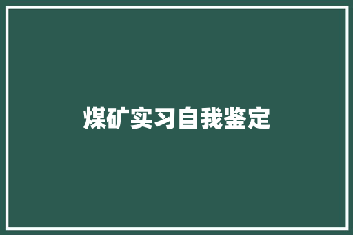 煤矿实习自我鉴定