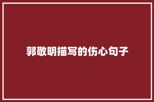 郭敬明描写的伤心句子