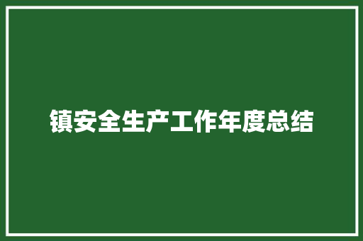 镇安全生产工作年度总结 申请书范文