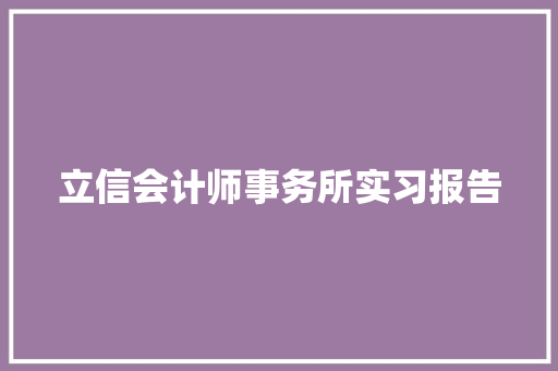 立信会计师事务所实习报告