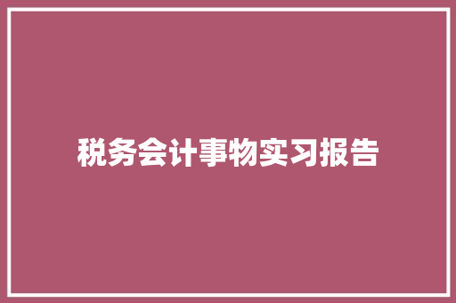 税务会计事物实习报告