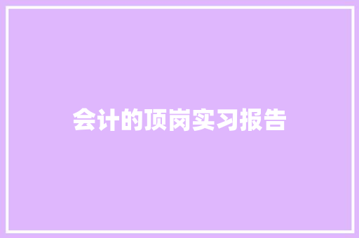 会计的顶岗实习报告