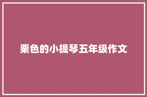 栗色的小提琴五年级作文