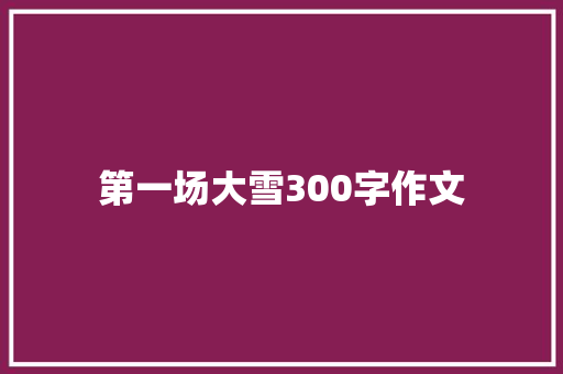 第一场大雪300字作文