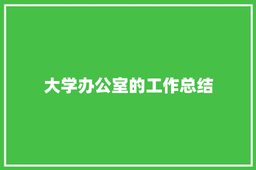 大学办公室的工作总结