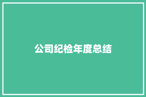 公司纪检年度总结