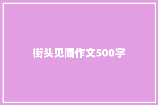 街头见闻作文500字