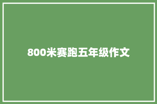 800米赛跑五年级作文