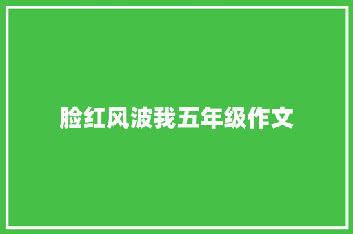 脸红风波我五年级作文