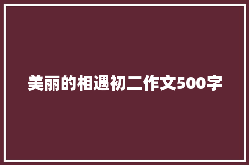 美丽的相遇初二作文500字