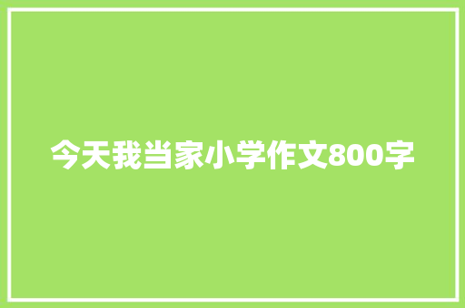 今天我当家小学作文800字