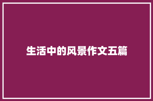 生活中的风景作文五篇