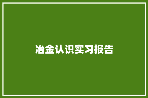 冶金认识实习报告