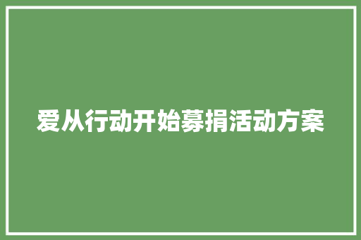 爱从行动开始募捐活动方案