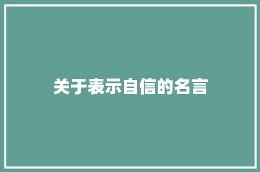 关于表示自信的名言