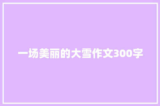 一场美丽的大雪作文300字