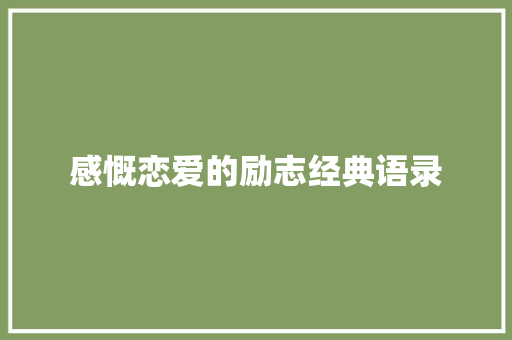 感慨恋爱的励志经典语录