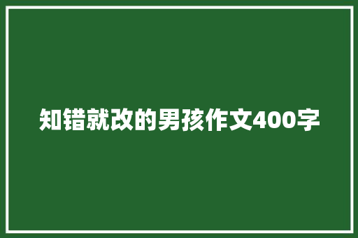 知错就改的男孩作文400字