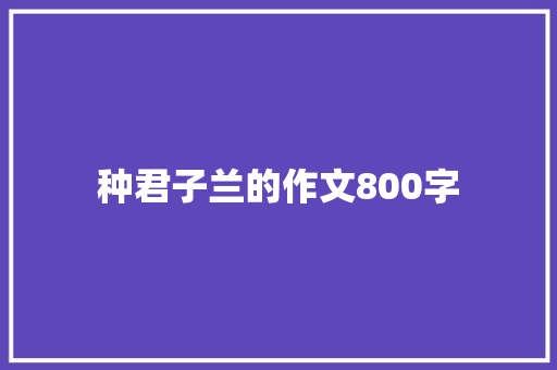 种君子兰的作文800字