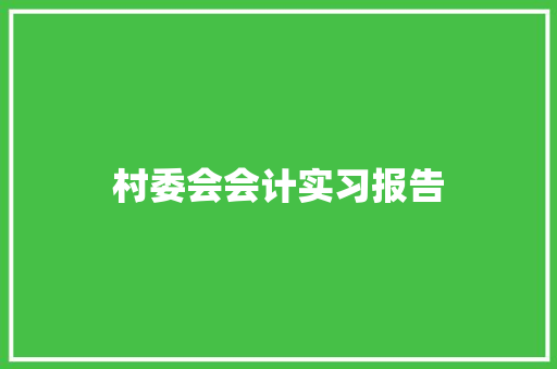 村委会会计实习报告