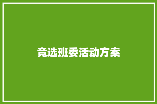 竞选班委活动方案