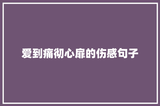 爱到痛彻心扉的伤感句子