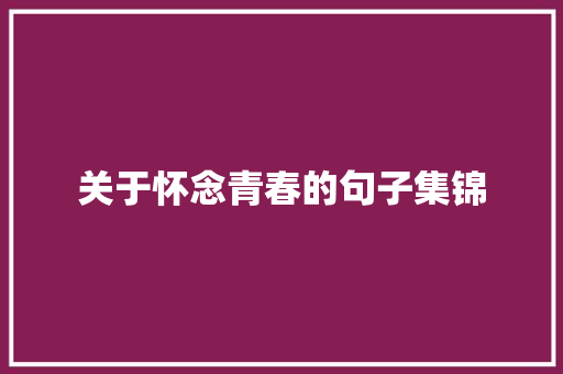 关于怀念青春的句子集锦