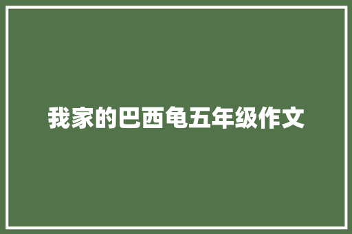 我家的巴西龟五年级作文