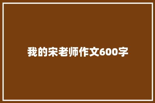 我的宋老师作文600字