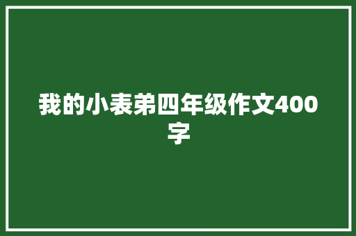 我的小表弟四年级作文400字