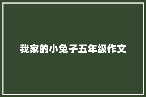 我家的小兔子五年级作文