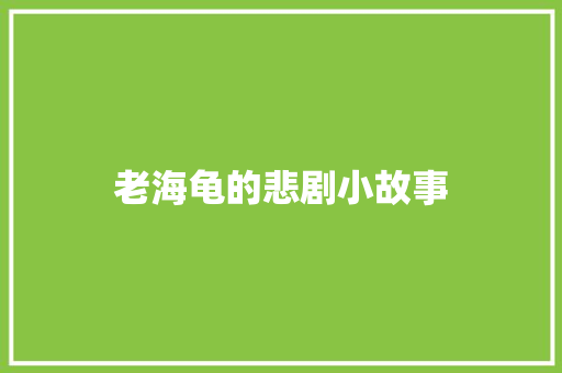 老海龟的悲剧小故事