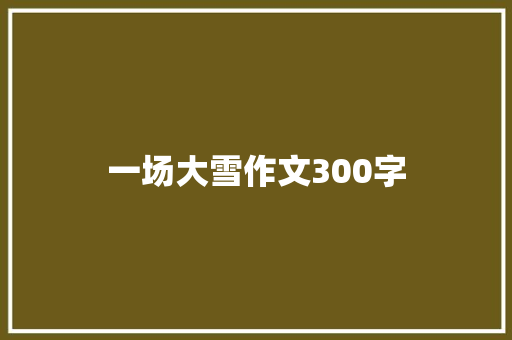 一场大雪作文300字