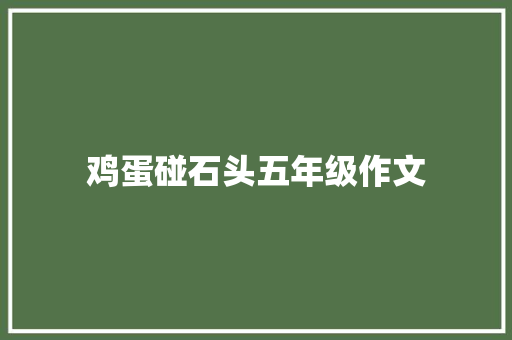 鸡蛋碰石头五年级作文