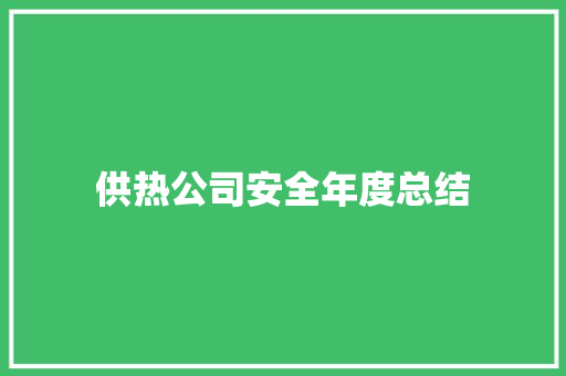 供热公司安全年度总结