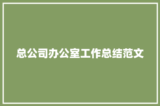 总公司办公室工作总结范文