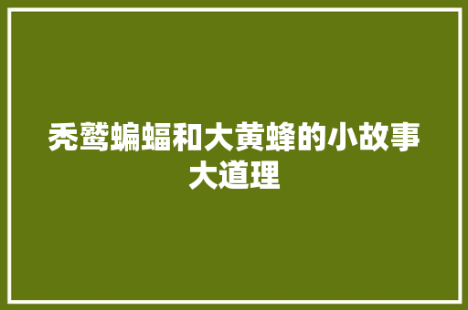 秃鹫蝙蝠和大黄蜂的小故事大道理