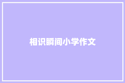 相识瞬间小学作文