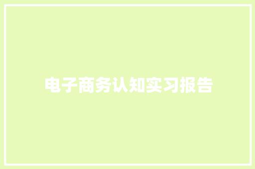 电子商务认知实习报告