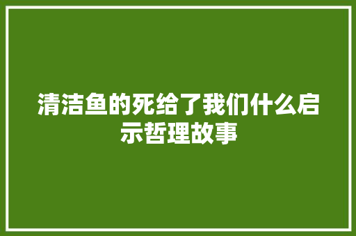 清洁鱼的死给了我们什么启示哲理故事