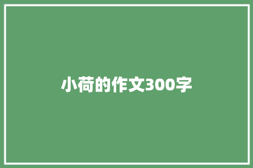 小荷的作文300字