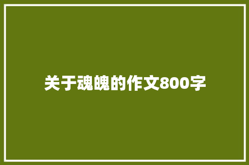 关于魂魄的作文800字