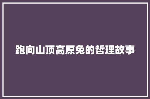 跑向山顶高原兔的哲理故事