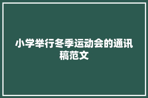 小学举行冬季运动会的通讯稿范文